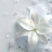 ヒメ日記 2026/01/23 16:48 投稿 かのん 川越おかあさん