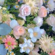 ヒメ日記 2026/04/20 16:18 投稿 かのん 川越おかあさん