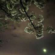 ヒメ日記 2025/04/30 12:39 投稿 松田 艶妻