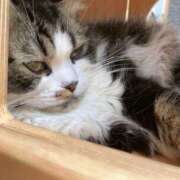 ヒメ日記 2025/05/24 15:55 投稿 松田 艶妻