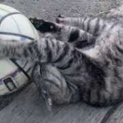 ヒメ日記 2025/07/24 16:21 投稿 松田 艶妻