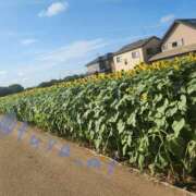 ヒメ日記 2025/07/30 10:46 投稿 松田 艶妻