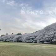 ヒメ日記 2025/08/13 18:15 投稿 松田 艶妻