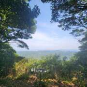 ヒメ日記 2025/08/23 10:59 投稿 松田 艶妻