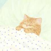 ヒメ日記 2025/10/28 13:31 投稿 松田 艶妻