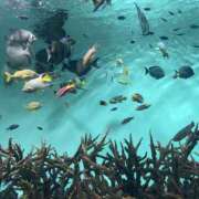 ヒメ日記 2025/11/16 10:52 投稿 松田 艶妻