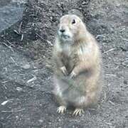 ヒメ日記 2025/12/16 14:39 投稿 松田 艶妻