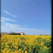 ヒメ日記 2025/03/04 18:21 投稿 はる 完熟ばなな川崎