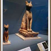 ヒメ日記 2025/03/18 19:32 投稿 はる 完熟ばなな川崎