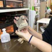 ヒメ日記 2025/01/30 11:52 投稿 あすか 鶯谷デリヘル倶楽部