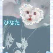 ヒメ日記 2025/04/08 14:20 投稿 ひなた アムールクリスタル