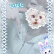 ヒメ日記 2025/05/16 12:30 投稿 ひなた アムールクリスタル