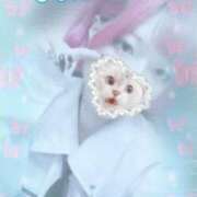 ヒメ日記 2025/07/20 23:45 投稿 ひなた アムールクリスタル