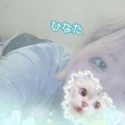 ヒメ日記 2025/08/05 14:00 投稿 ひなた アムールクリスタル