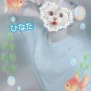 ヒメ日記 2025/08/18 13:00 投稿 ひなた アムールクリスタル