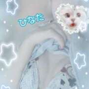 ヒメ日記 2025/08/19 15:35 投稿 ひなた アムールクリスタル