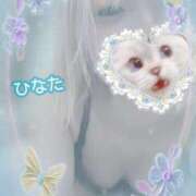 ヒメ日記 2025/09/05 08:35 投稿 ひなた アムールクリスタル