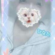 ヒメ日記 2025/10/26 12:00 投稿 ひなた アムールクリスタル