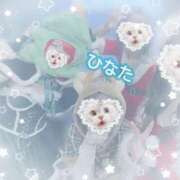 ヒメ日記 2025/12/24 13:05 投稿 ひなた アムールクリスタル