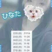 ヒメ日記 2026/03/17 17:05 投稿 ひなた アムールクリスタル