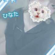 ヒメ日記 2026/03/19 13:15 投稿 ひなた アムールクリスタル