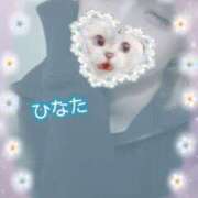 ヒメ日記 2026/03/20 15:30 投稿 ひなた アムールクリスタル