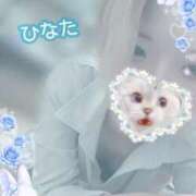 ヒメ日記 2026/03/30 16:10 投稿 ひなた アムールクリスタル