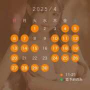 ヒメ日記 2025/02/12 19:45 投稿 白鳥　聖 コルドンブルー