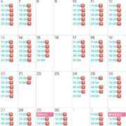 ヒメ日記 2025/04/05 16:05 投稿 白鳥　聖 コルドンブルー