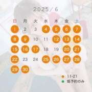 ヒメ日記 2025/04/12 15:55 投稿 白鳥　聖 コルドンブルー