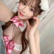 ヒメ日記 2025/09/23 13:27 投稿 白鳥　聖 コルドンブルー