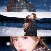 ヒメ日記 2025/11/07 13:35 投稿 白鳥　聖 コルドンブルー