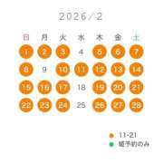 白鳥　聖 2月予約開始 コルドンブルー