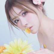 白鳥　聖 ♡ コルドンブルー