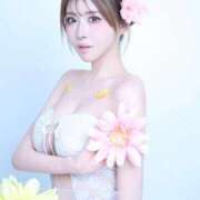 ヒメ日記 2025/12/19 16:11 投稿 白鳥　聖 コルドンブルー