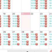 白鳥　聖 一月最新空き コルドンブルー