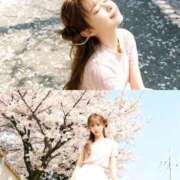 ヒメ日記 2026/04/12 18:55 投稿 白鳥　聖 コルドンブルー