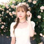 ヒメ日記 2026/04/15 09:35 投稿 白鳥　聖 コルドンブルー