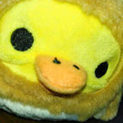 ヒメ日記 2024/12/22 12:40 投稿 るい 奥鉄オクテツ兵庫