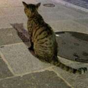 ヒメ日記 2026/01/12 09:30 投稿 るい 奥鉄オクテツ兵庫