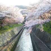 ヒメ日記 2025/04/10 14:50 投稿 川上あやな 五十路マダムエクスプレス豊橋店（カサブランカグループ）