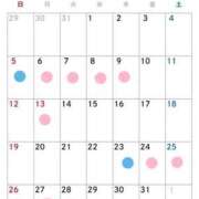 ヒメ日記 2024/12/31 21:41 投稿 ひなこ しゃぼんくらぶ一番館