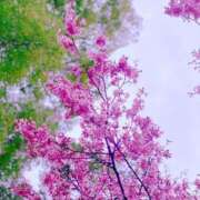 ヒメ日記 2025/03/08 21:30 投稿 ゆあ One More奥様　横浜関内店