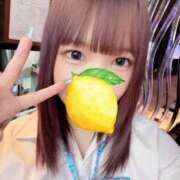 ヒメ日記 2024/12/26 22:23 投稿 さく レモンカフェ