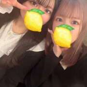 ヒメ日記 2025/02/21 18:05 投稿 さく レモンカフェ