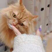 ヒメ日記 2025/03/19 19:19 投稿 さく レモンカフェ