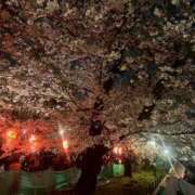 ヒメ日記 2025/04/06 19:03 投稿 さく レモンカフェ