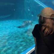 ヒメ日記 2025/07/16 18:24 投稿 さく レモンカフェ