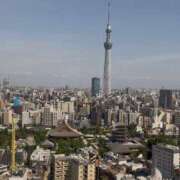 ヒメ日記 2025/08/29 18:12 投稿 さく レモンカフェ