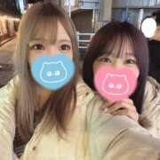 ヒメ日記 2025/11/06 18:53 投稿 さく レモンカフェ